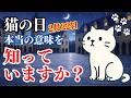 【2月22日に知って欲しい】猫の日が生まれた本当の理由