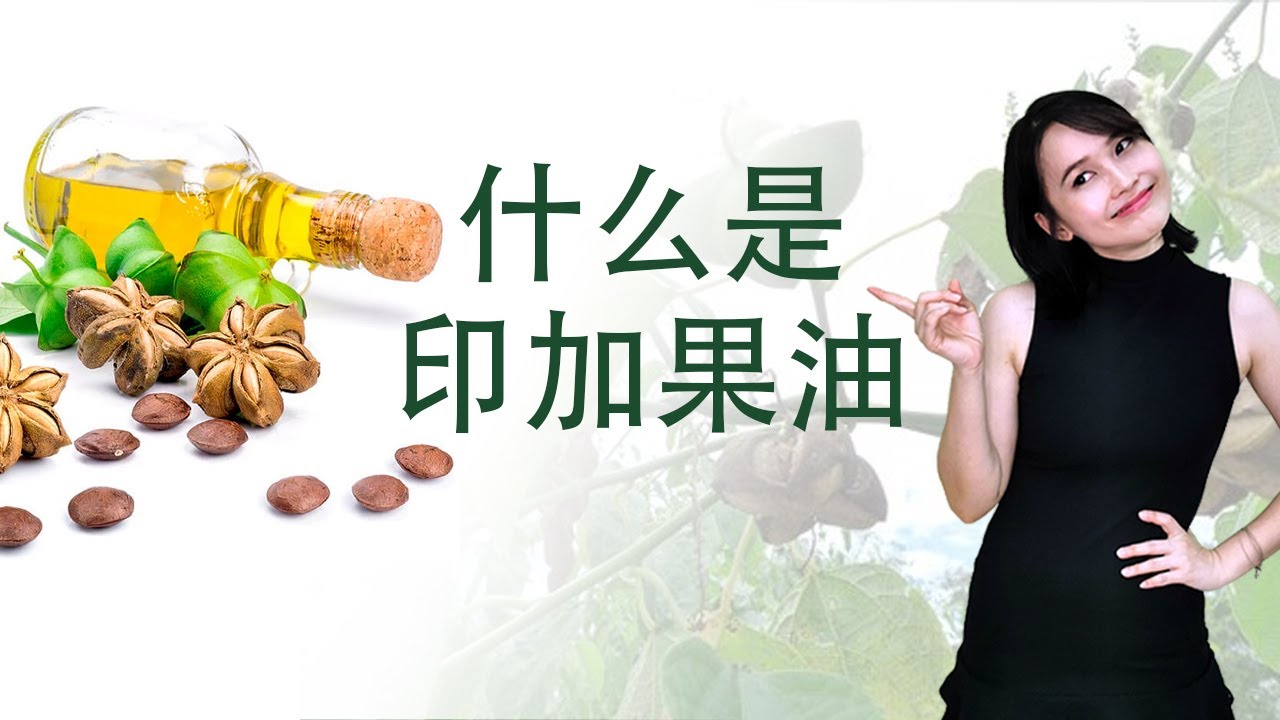 什么是印加果油 Youtube