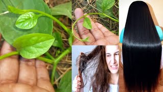 टेढ़े मेढे बालों को एकदम सीधा और मुलायम बना देगा/how to get silky and smooth hair naturally at home