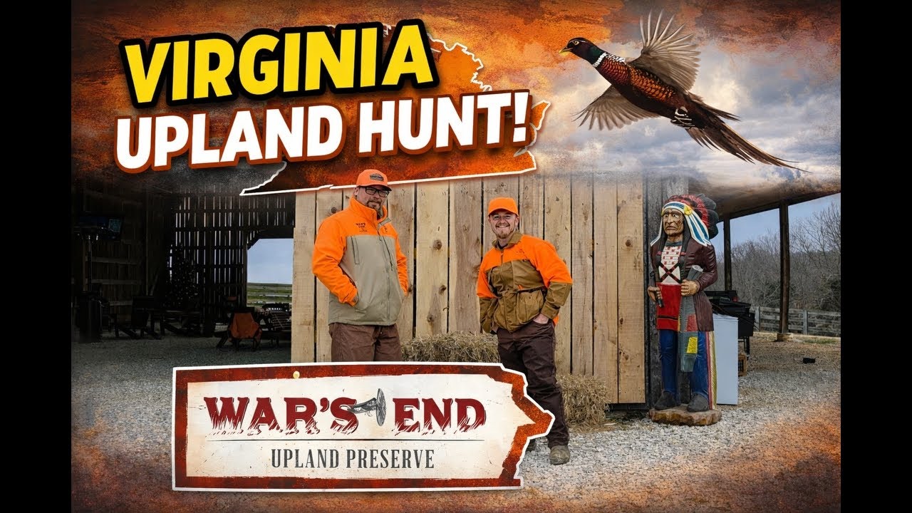 Охота на пернатую дичь в Вирджинии! Заповедник Wars End Upland Preserve.