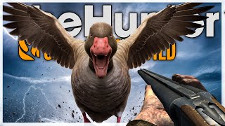Pompali Ve Alman Poi̇nter Köpeği̇ İle Küçükbaş Hayvan Avi Thehunter Call Of The Wild