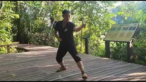 Song Style Xingyi Quan - Zhao Chuan Hui 2019