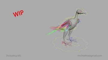 Eagle Rig | Wing | Case Study | Maya