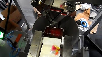 MULTIHEAD WEIGHER WITH TOY CONVEYOR