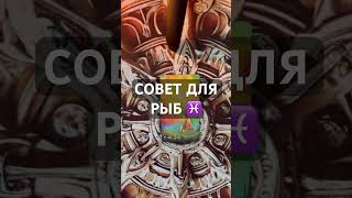 Совет для рыб #расклад #таро #гороскоп #рыбы