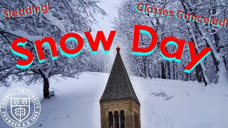 Snow Day at Cornell University 2019