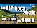 La Gaviota Viajera #157: Un REY BOCA ABAJO y nosotros en BABIA