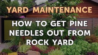 How to Get Pine Needles Out From Rock Yard