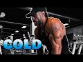 COLD ❄️ Chris Bumstead Motivation