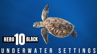 GoPro Hero 10 Black BEST Underwater Settings in 2023 by Ryuta Ogawa 12,314 views 2 years ago 1 minute, 48 seconds