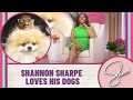 Shannon sharpe loves his dogs  sherri shepherd