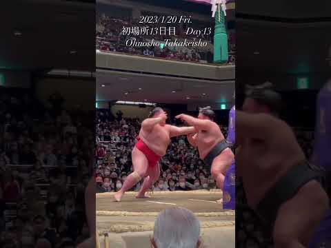 Чемпионат России по сумо Тыва