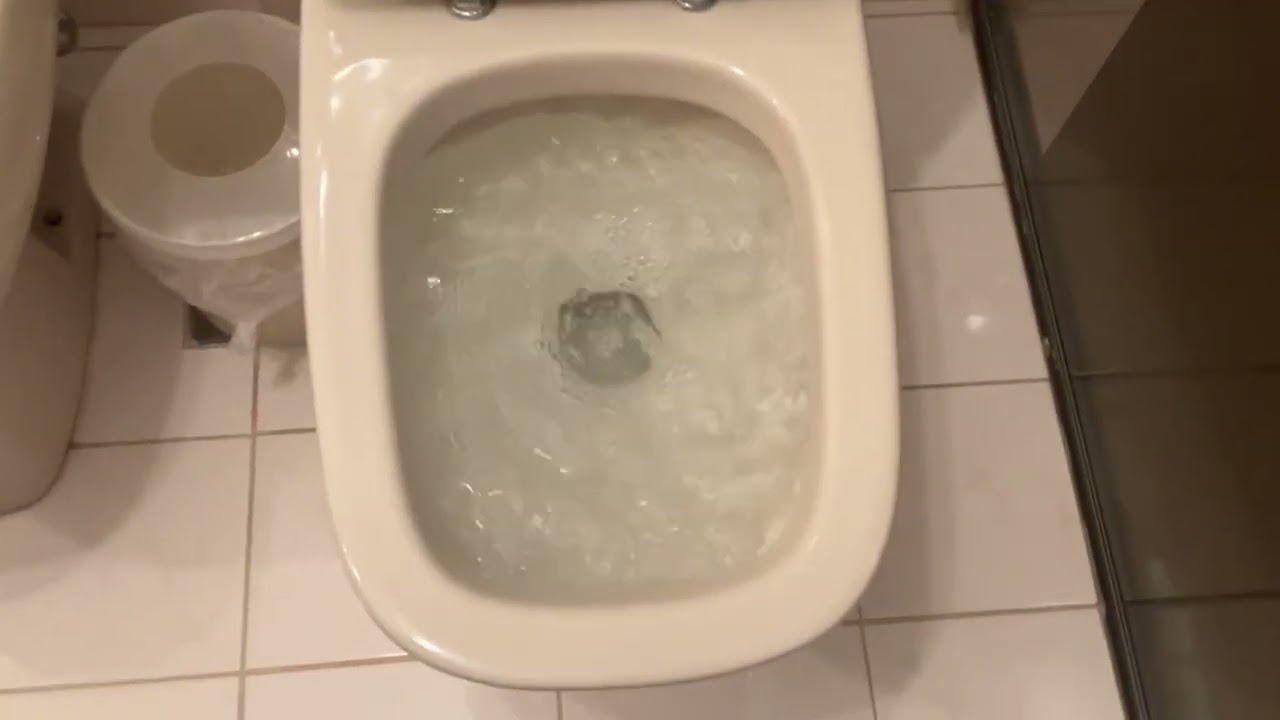 My dads mothers house toilets