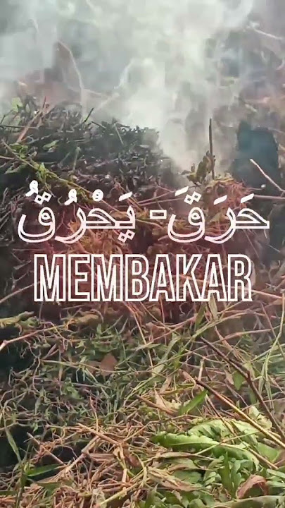 SINAU BAHASA ARAB | MEMBAKAR. #shorts #bahasa #arabic