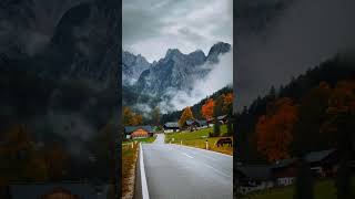 Autumn Roadside Views In Austria 🍂🐎