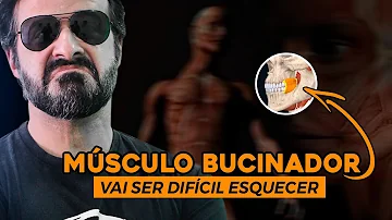 Qual a função do músculo bucinador?