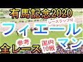 【競馬 参考 有馬記念 2020】有力馬完全まとめ!フィエールマン!国内全レースピックアップ!ラップタイム付!