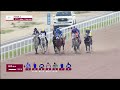 RM 41  Al Uqda Race 2 - Lehwaila Cup
