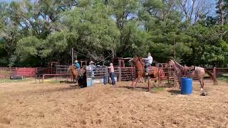 IMG 4208