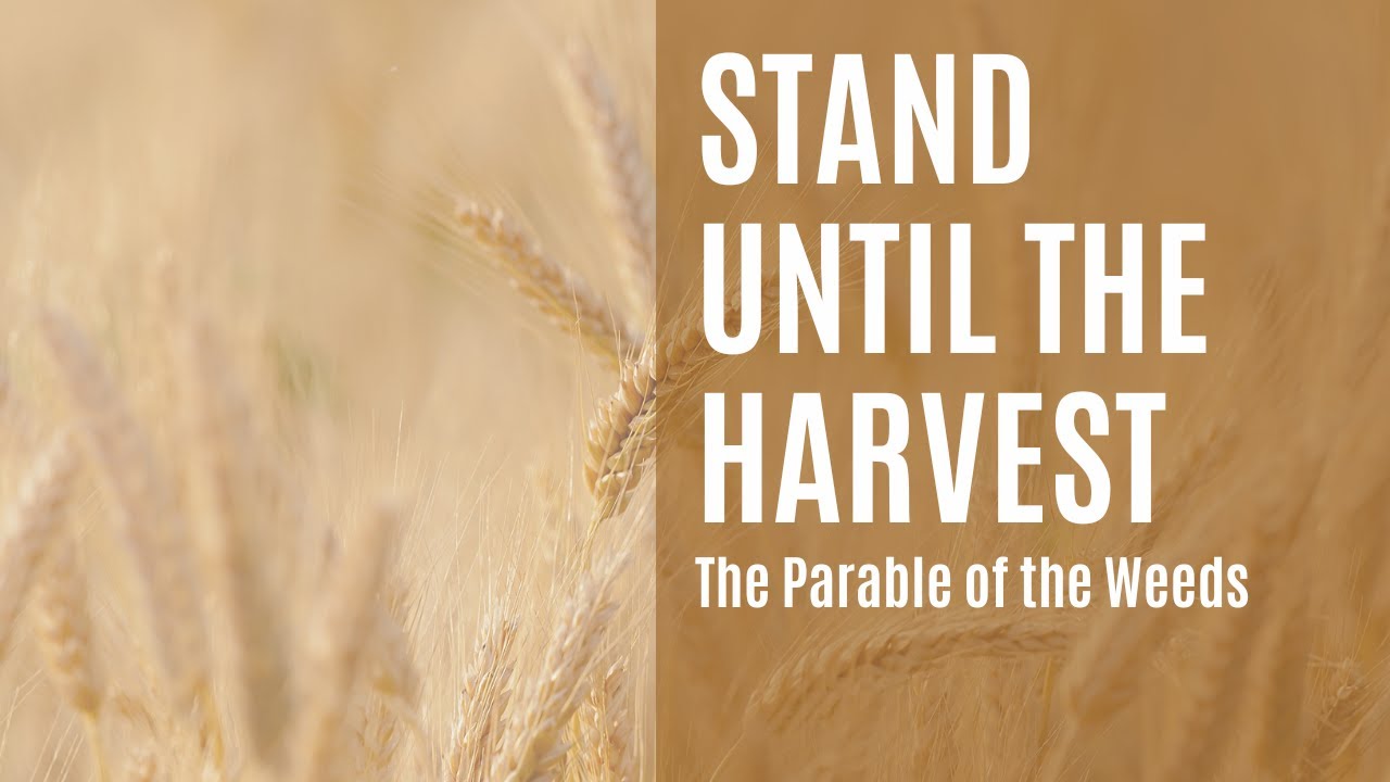 Stand Until the Harvest: July 24, 2023 Worship Livestream