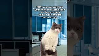 Nosy Cat Chronicles: Office Drama Unfolds!  PetParadePro