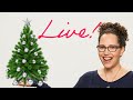 Livestream: Minimalist Packing, Little Kids, Decluttered People and more!