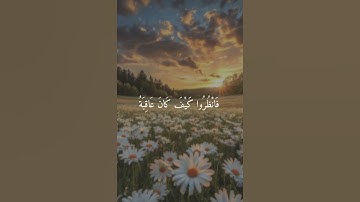 مقاطع قصيرة| تلاوة قديمة خاشعة للقارئ سعود الشريم☘️