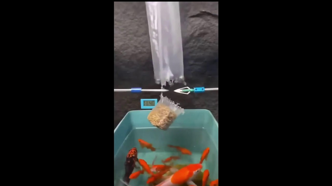 СТРИМ ШОРТС ИГРАЕМ