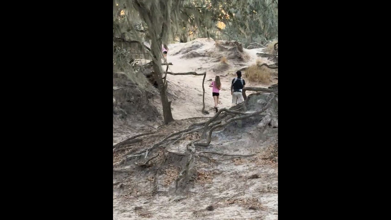 Walking a trail in the park we call the “mountains” in Florida as a family !