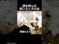 涙を呼んだ飼い主と犬の姿