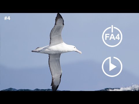 Fakta4 Fagam 13 16 Youtube