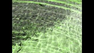 T Tauri - Joy To The World (no felt mix)