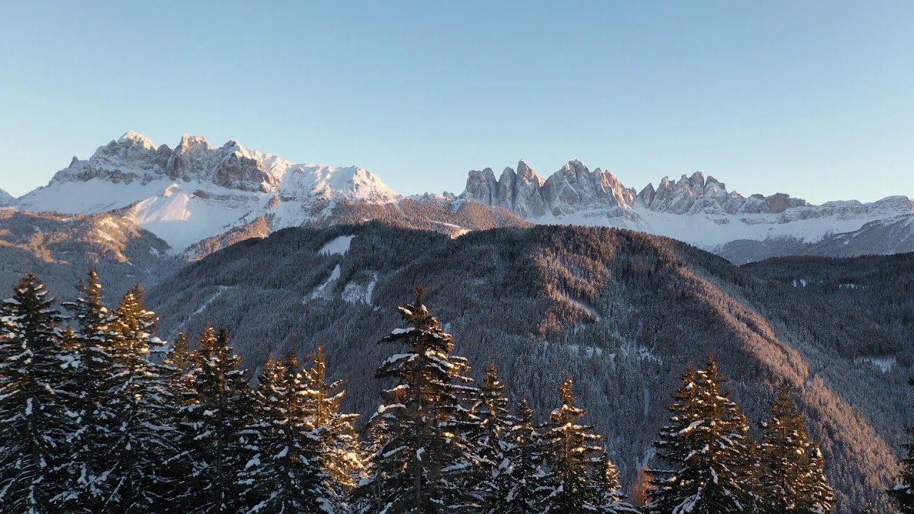 FORESTIS – A magical place