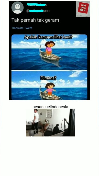 StoryWa Peta Dora - Uh what the f*ck ukulele meme
