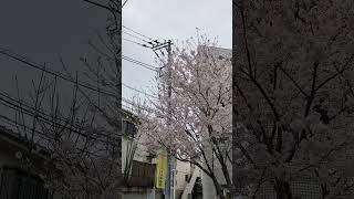 01863 20230331 Sun. 13:27