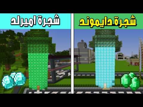 فلم ماين كرافت : شجرة الدايموند وشجرة الاميرالد 😱 | Minecraft Film