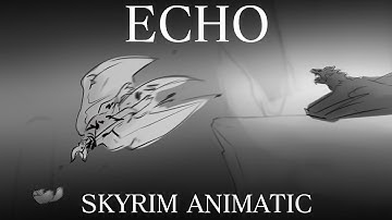 ECHO / skyrim animatic