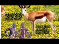Lupembe Limbu Luchagula Malafiki 2025 Official Audio Yohana Studio Lupembe Limbu Luchagula Malafiki 2025 Official Audio Yohana Studio