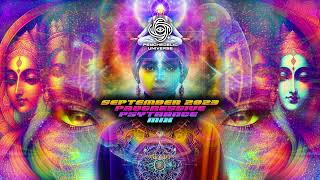 September 2023 Progressive Psytrance DJ Mix