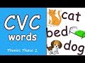 CVC Words and Phonics Quiz