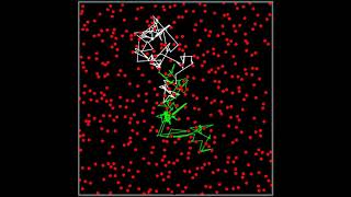2D Animation of Random Walk of Two Separate Particles Creataed in Maya