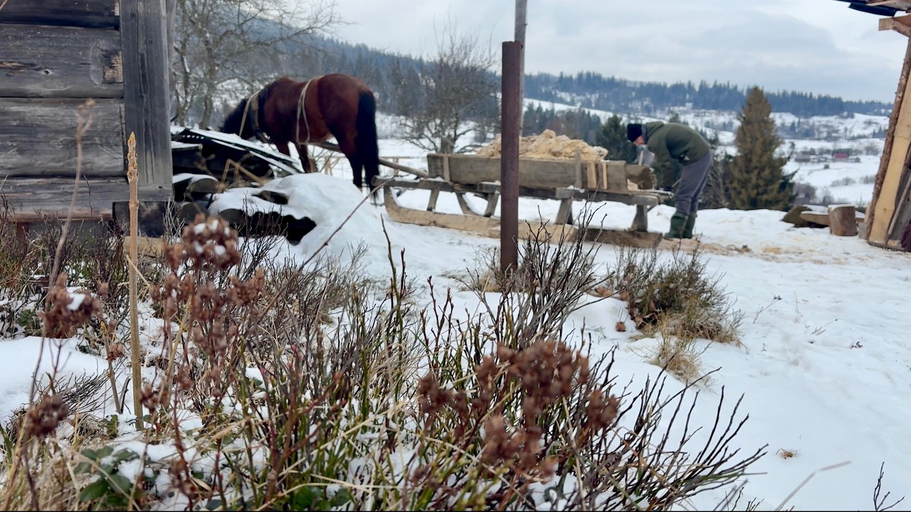 The unbreakable spirit of a young family in the Carpathians