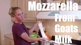 Easy Homemade Mozzarella