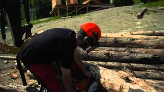 Mountain Bike Chronicles - Anne UP
