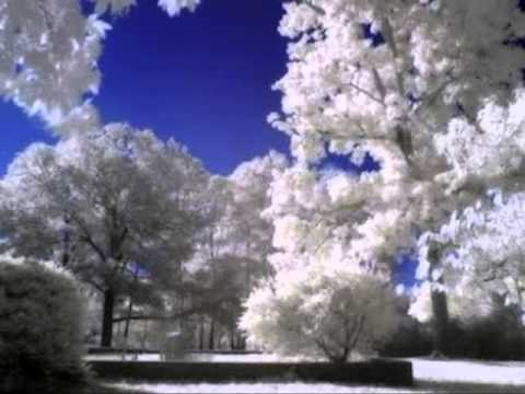 وائل الجسار اول ساعه 