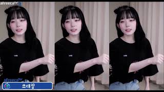 Djrr - 오토바이 국내 스트리머들의 오토바이 리액션 모음집 총 집합 아프리카Tv 트위치 팝콘티비 Star Tv