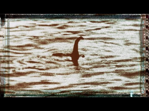 Could the Loch Ness Monster Actually Be a Giant Eel?