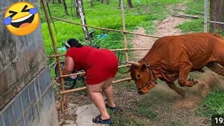 Try Not To Laugh 🤣 Top 100 Funniest Videos Ever | Memes Epic Fails & Pranks Compilation