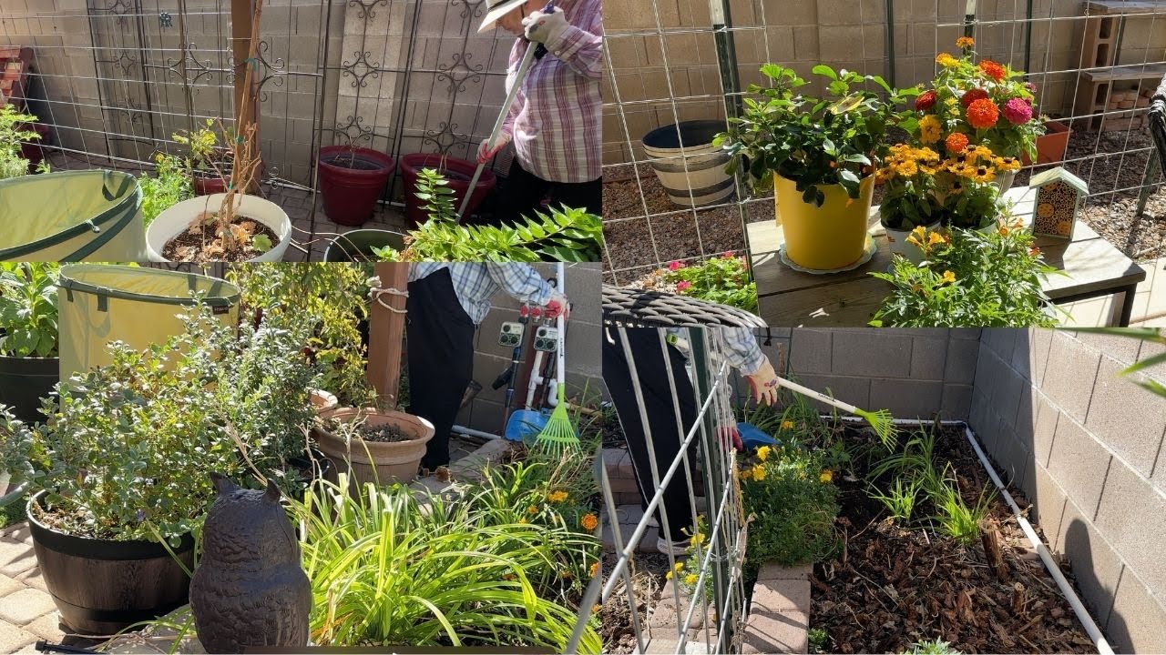 Come Clean Up the Fall Garden with Me! Music, Flowers, Entertainment and Accomplishment!