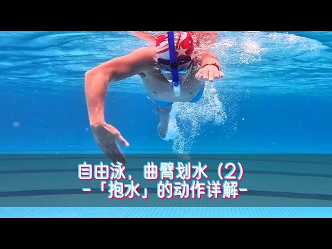 自由泳，曲臂划水（2）抱水的动作详解，划手启动的关键动作